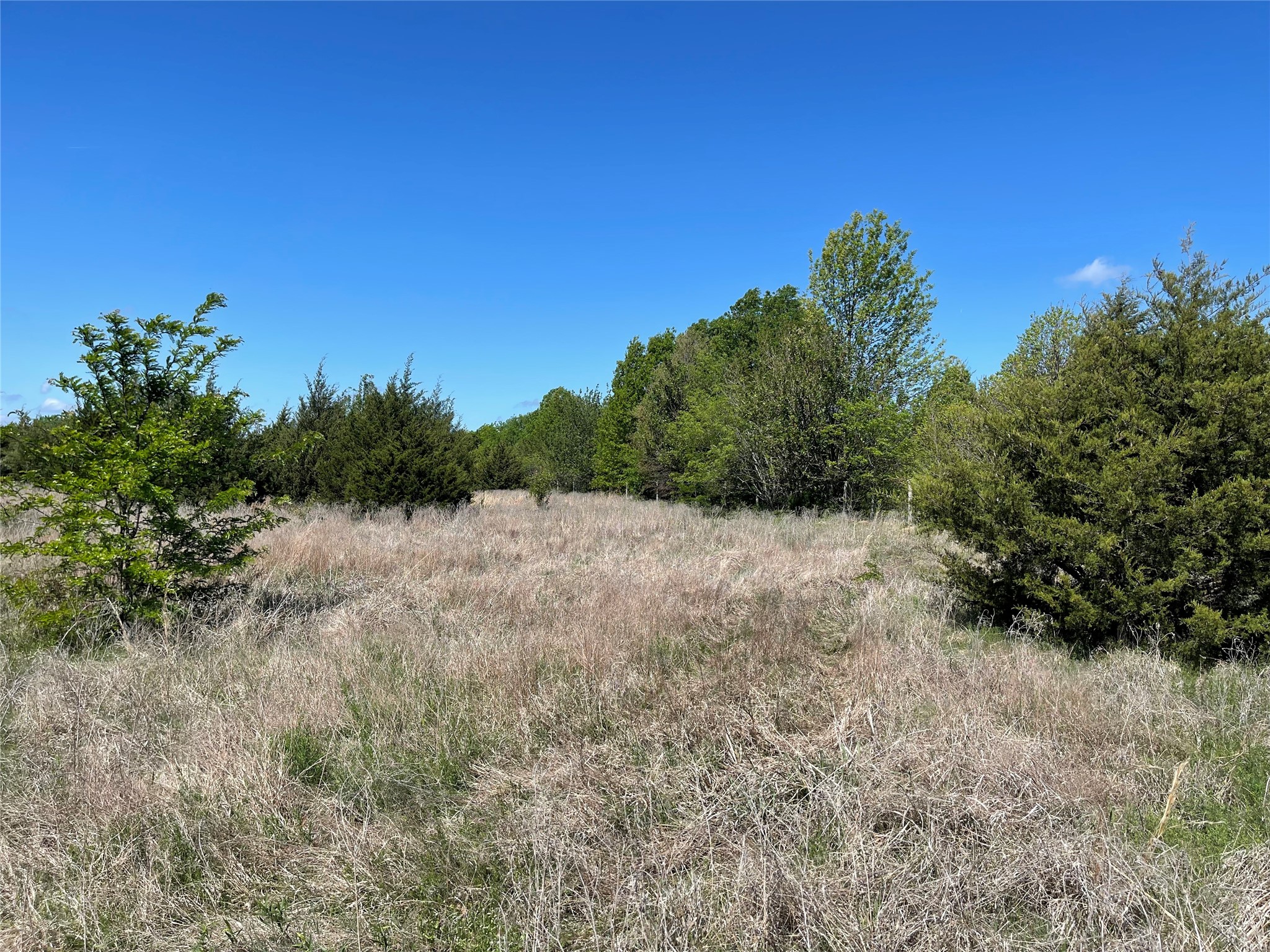 Tbd County Road 1400 Ravenna TX 75476