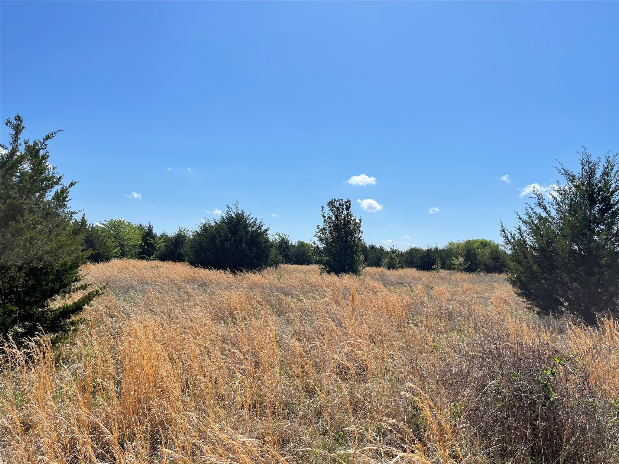 Tbd County Road 1400 Ravenna TX 75476