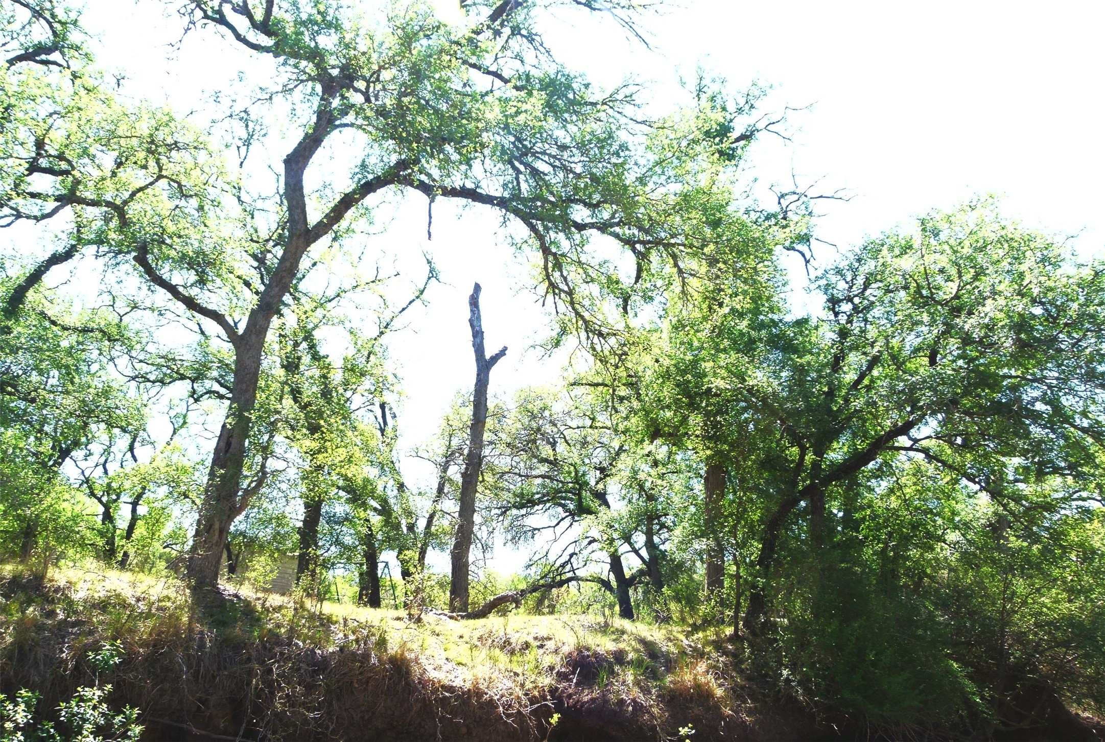 Tbd Highway 377 S Brookesmith TX 76827