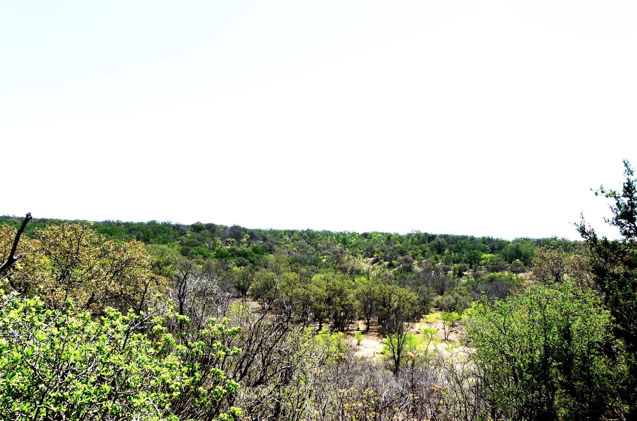Tbd Highway 377 S Brookesmith TX 76827
