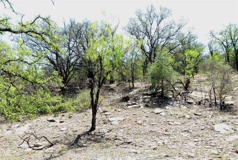 Tbd Highway 377 S Brookesmith TX 76827