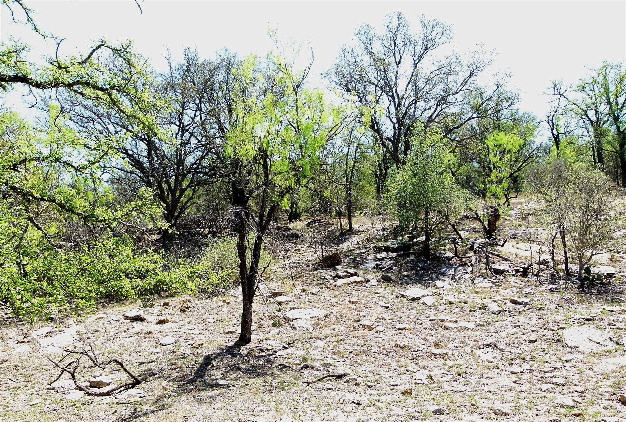 Tbd Highway 377 S Brookesmith TX 76827