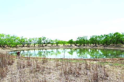 Tbd Highway 377 S Brookesmith TX 76827