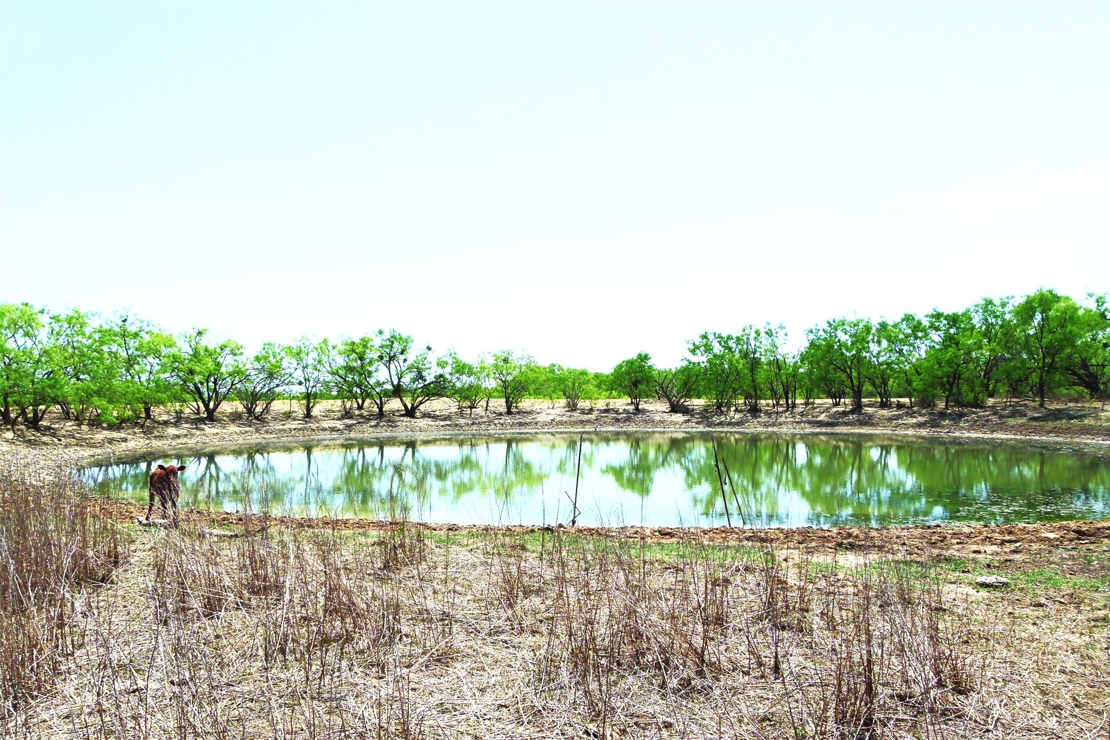 Tbd Highway 377 S Brookesmith TX 76827