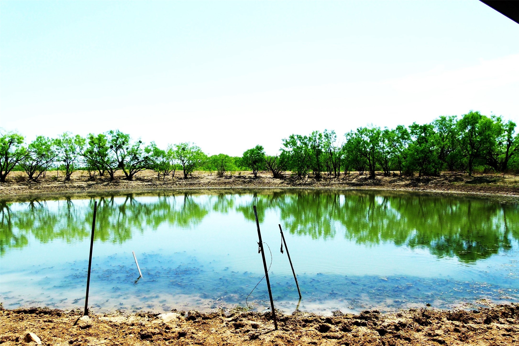 Tbd Highway 377 S Brookesmith TX 76827