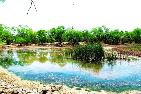 Tbd Highway 377 S Brookesmith TX 76827