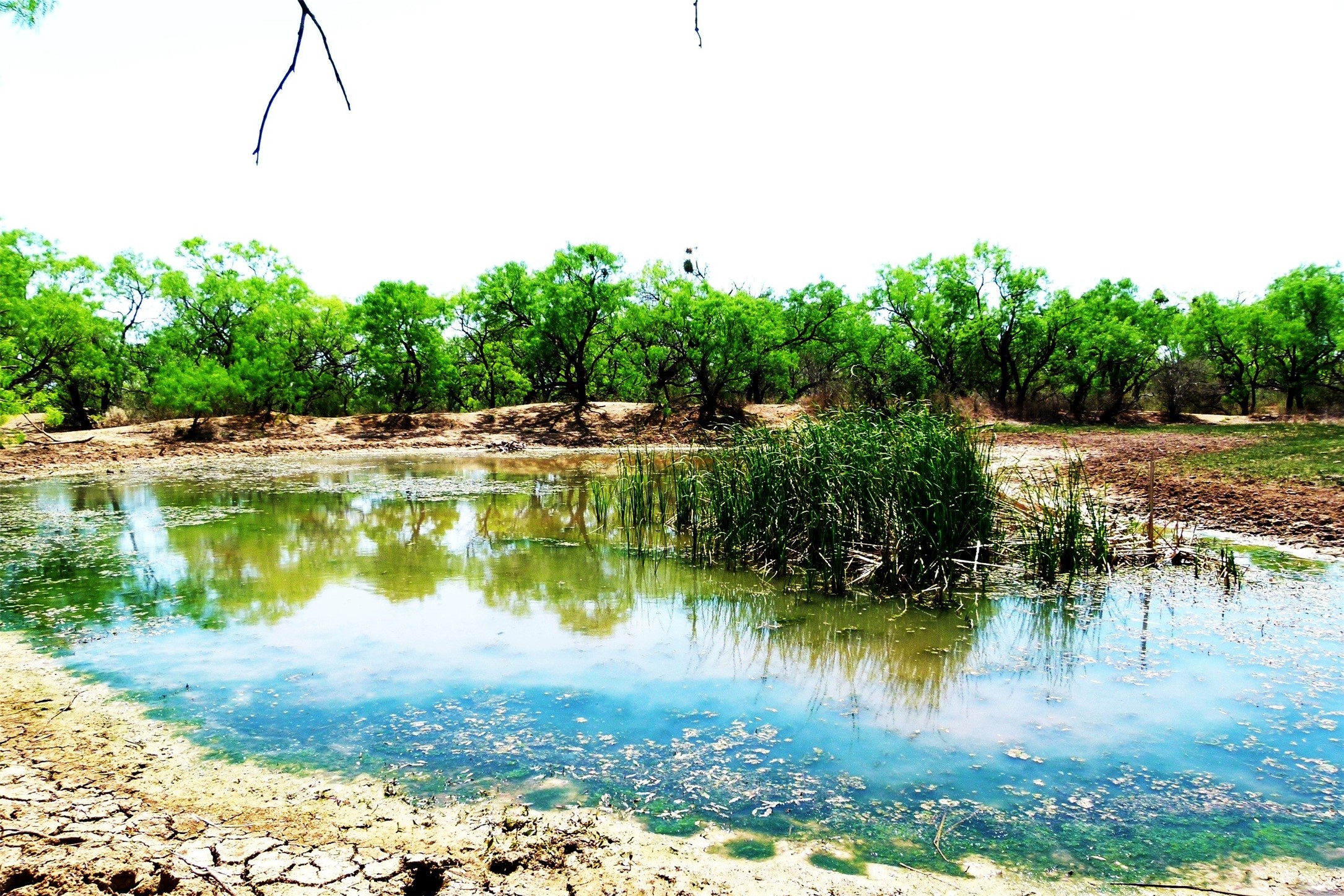 Tbd Highway 377 S Brookesmith TX 76827
