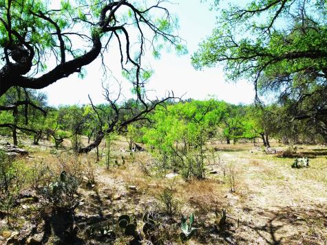 TBD Highway 377 S Brookesmith TX 76827