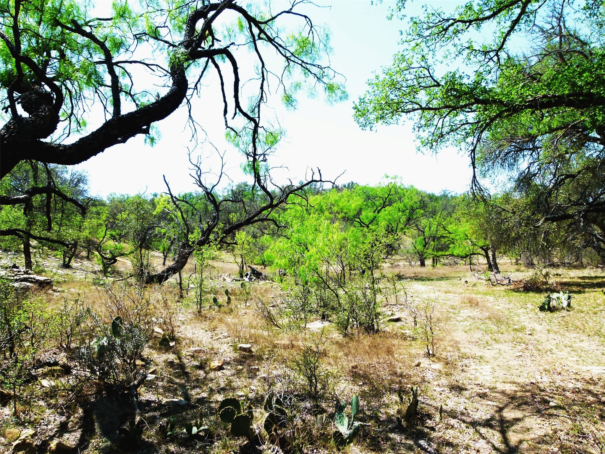 Tbd Highway 377 S Brookesmith TX 76827