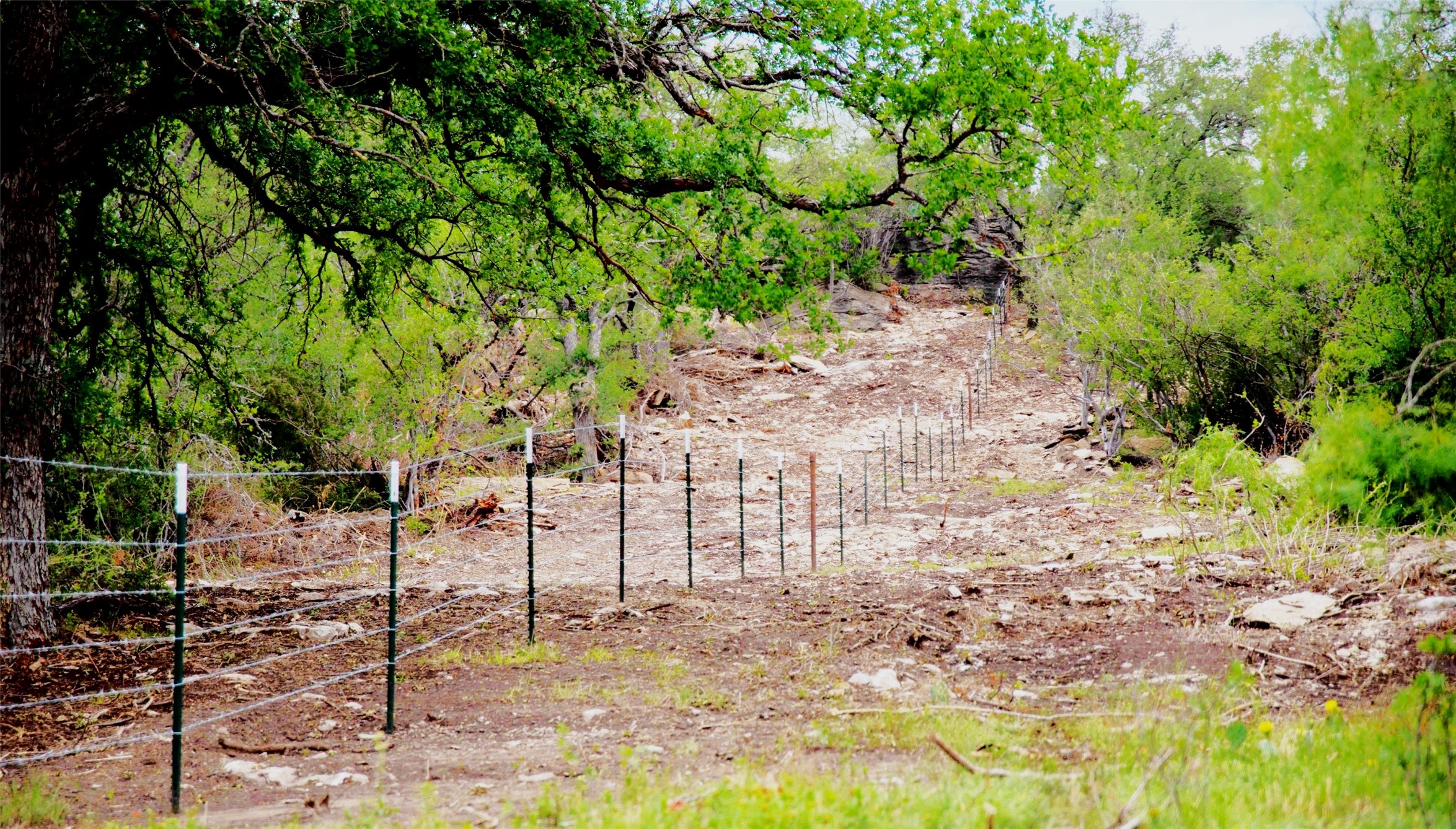 Tbd Highway 377 S Brookesmith TX 76827