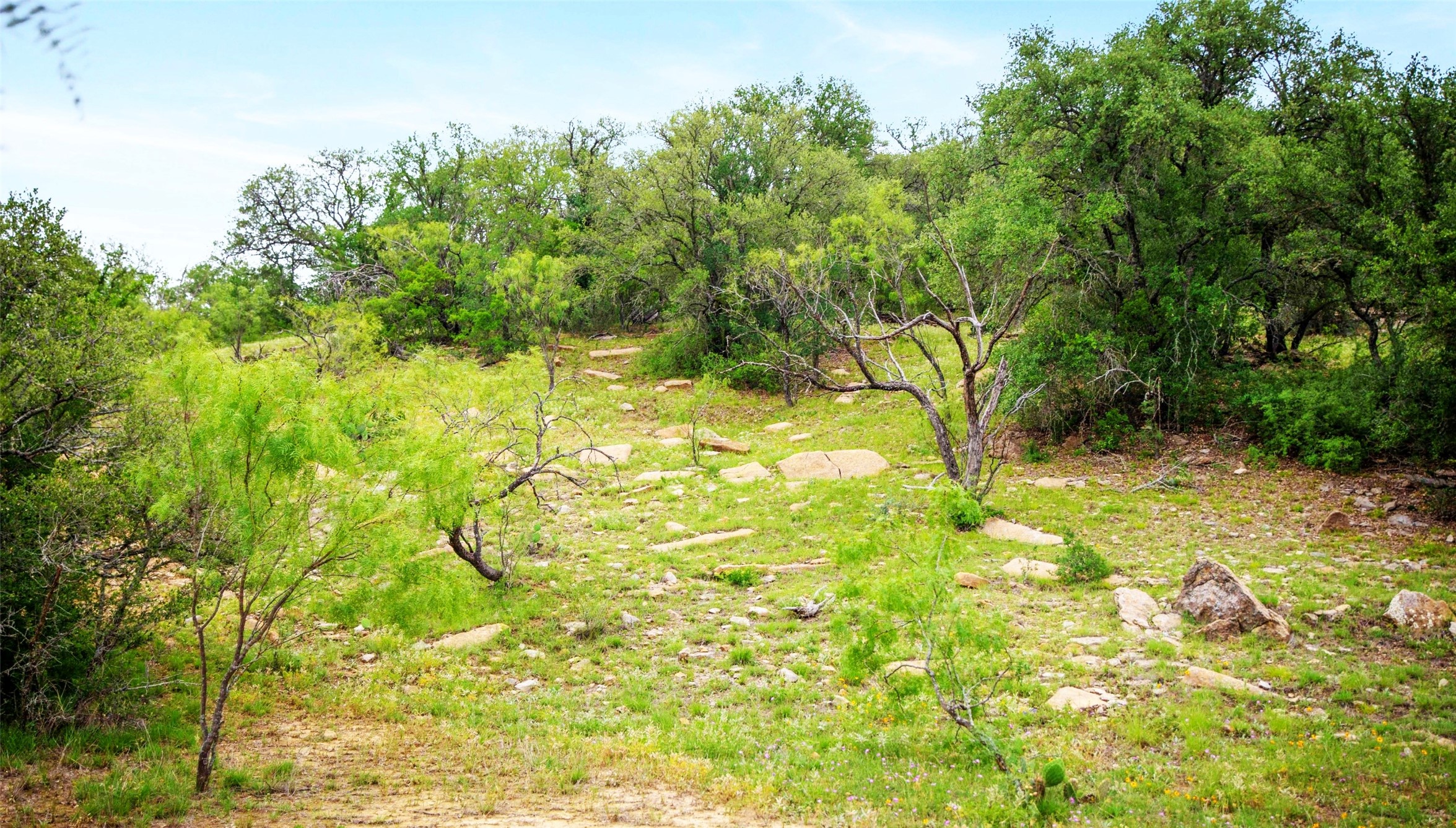 Tbd Highway 377 S Brookesmith TX 76827