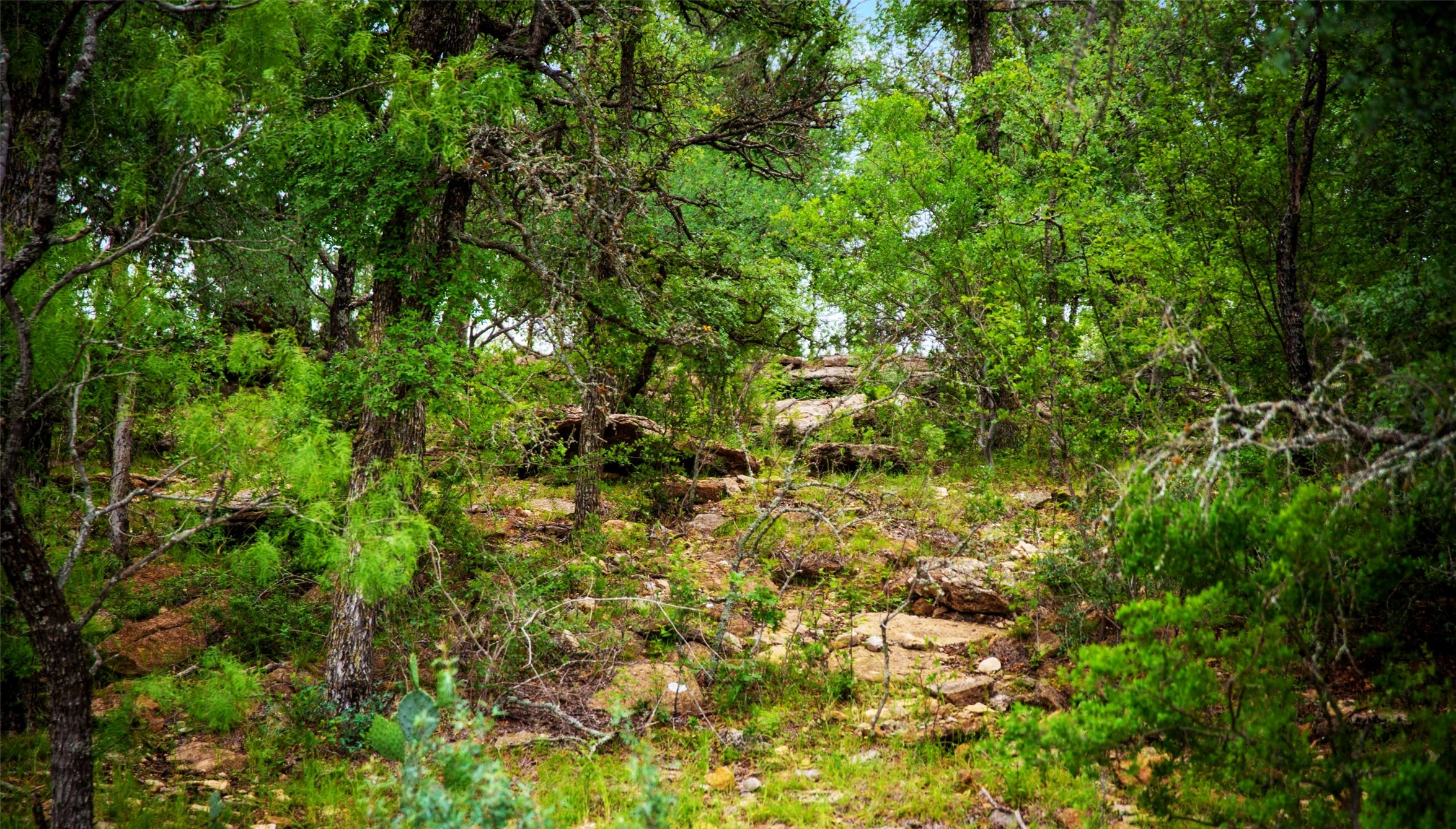 Tbd Highway 377 S Brookesmith TX 76827