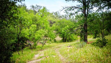 Tbd Highway 377 S Brookesmith TX 76827