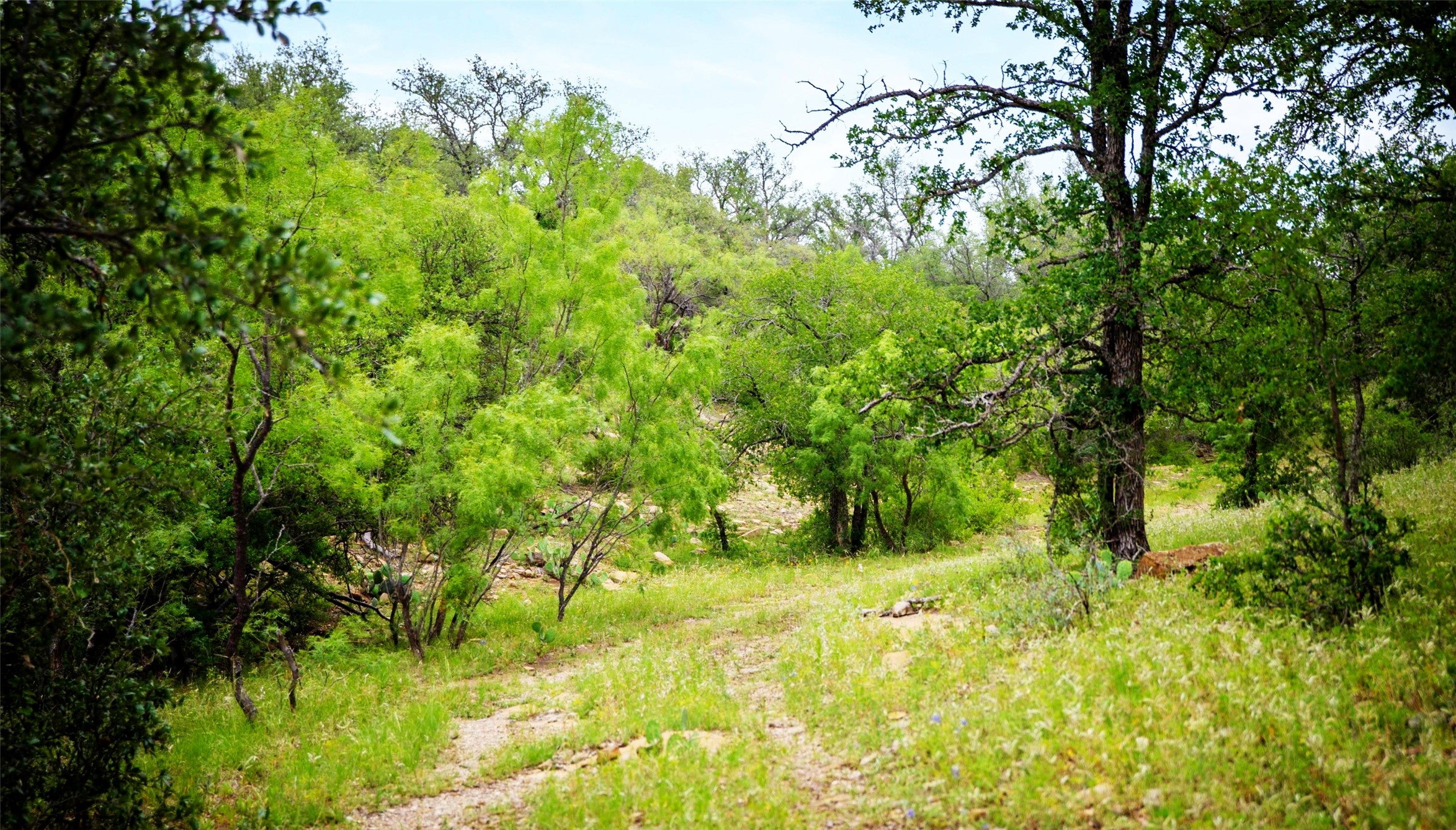 Tbd Highway 377 S Brookesmith TX 76827