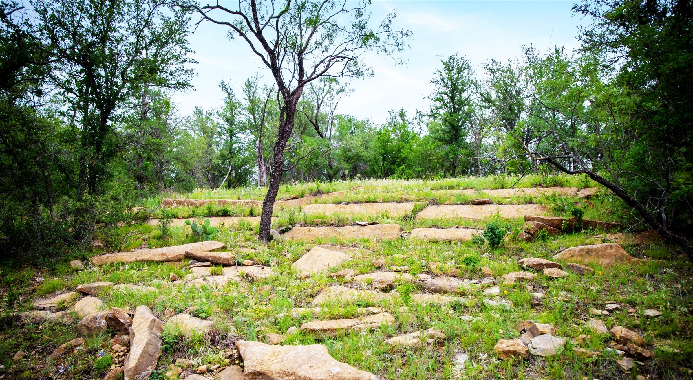 Tbd Highway 377 S Brookesmith TX 76827