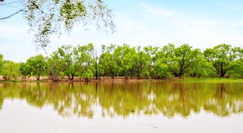 Tbd Highway 377 S Brookesmith TX 76827