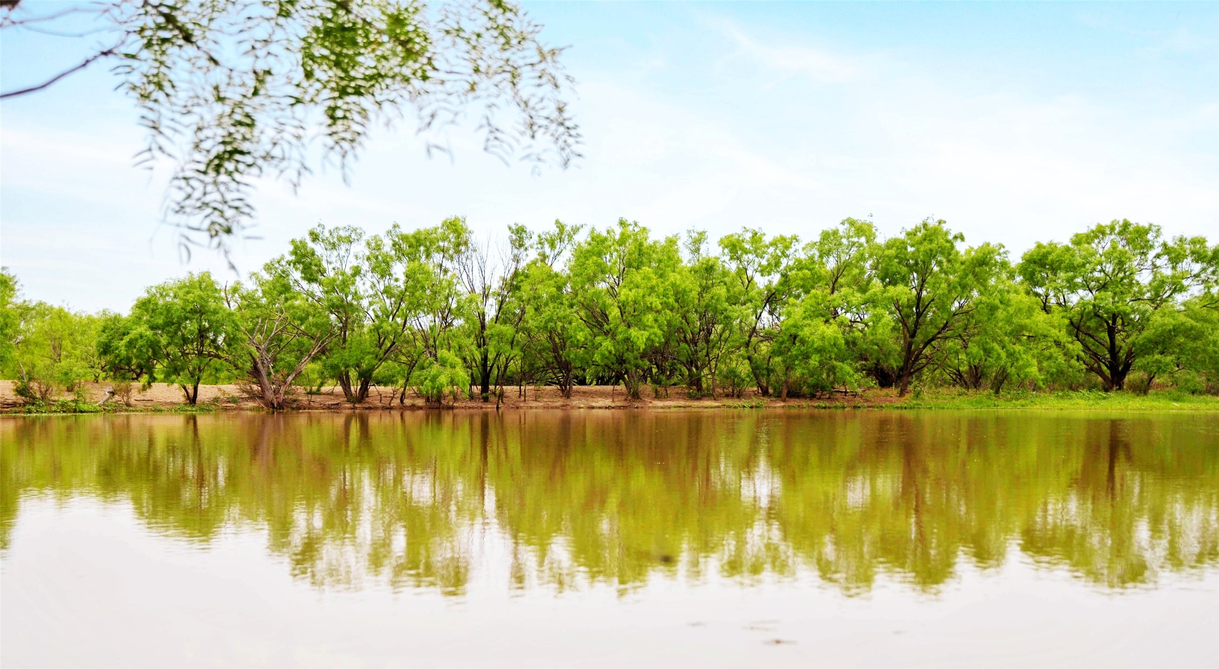 Tbd Highway 377 S Brookesmith TX 76827