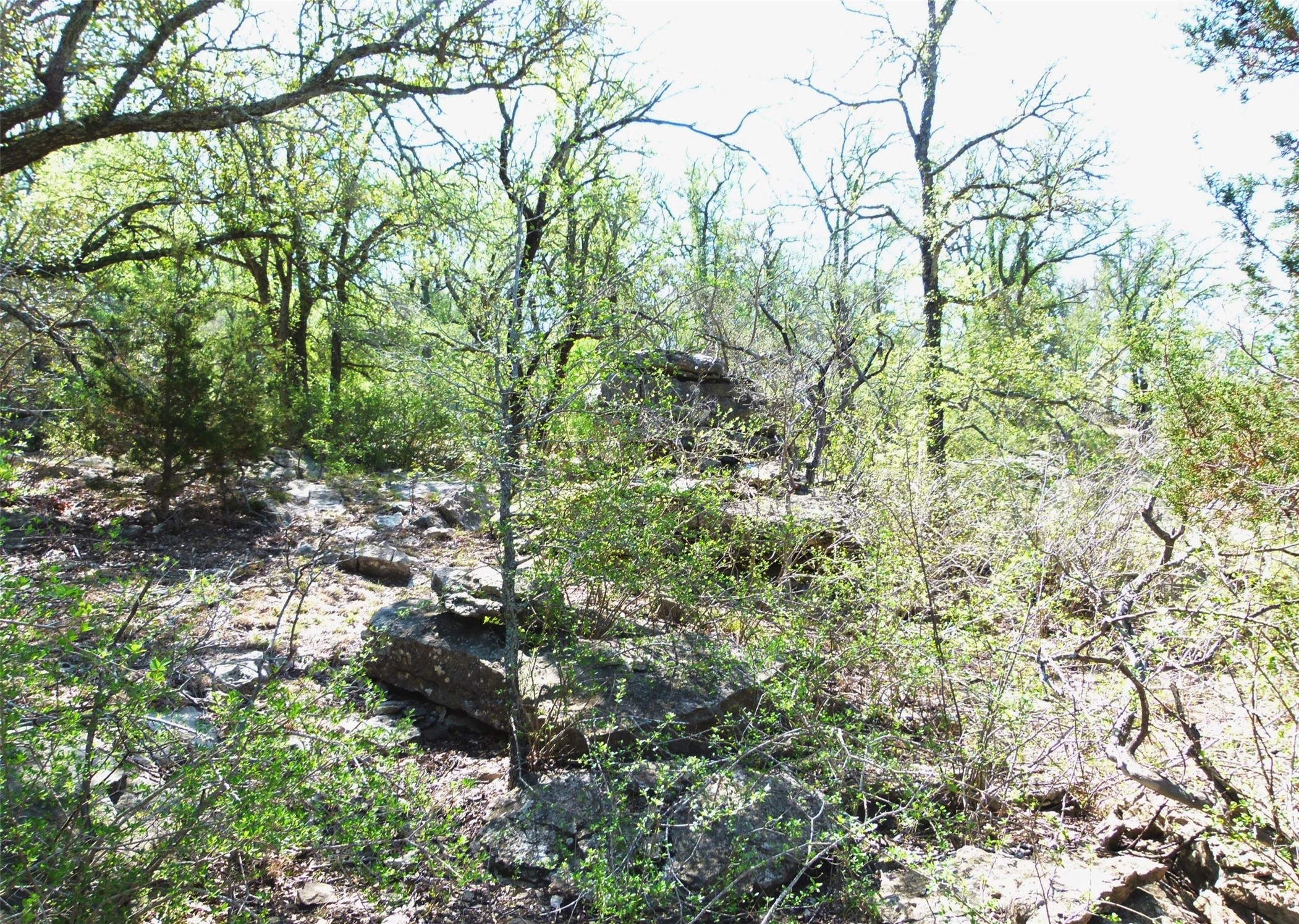Tbd Highway 377 S Brookesmith TX 76827