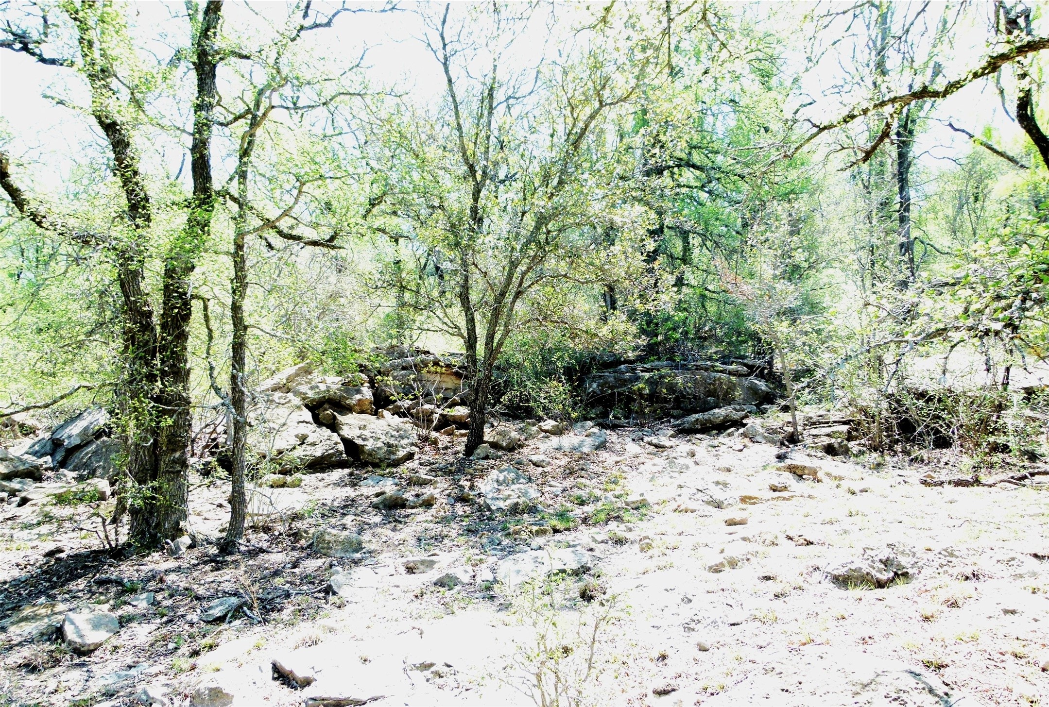 Tbd Highway 377 S Brookesmith TX 76827