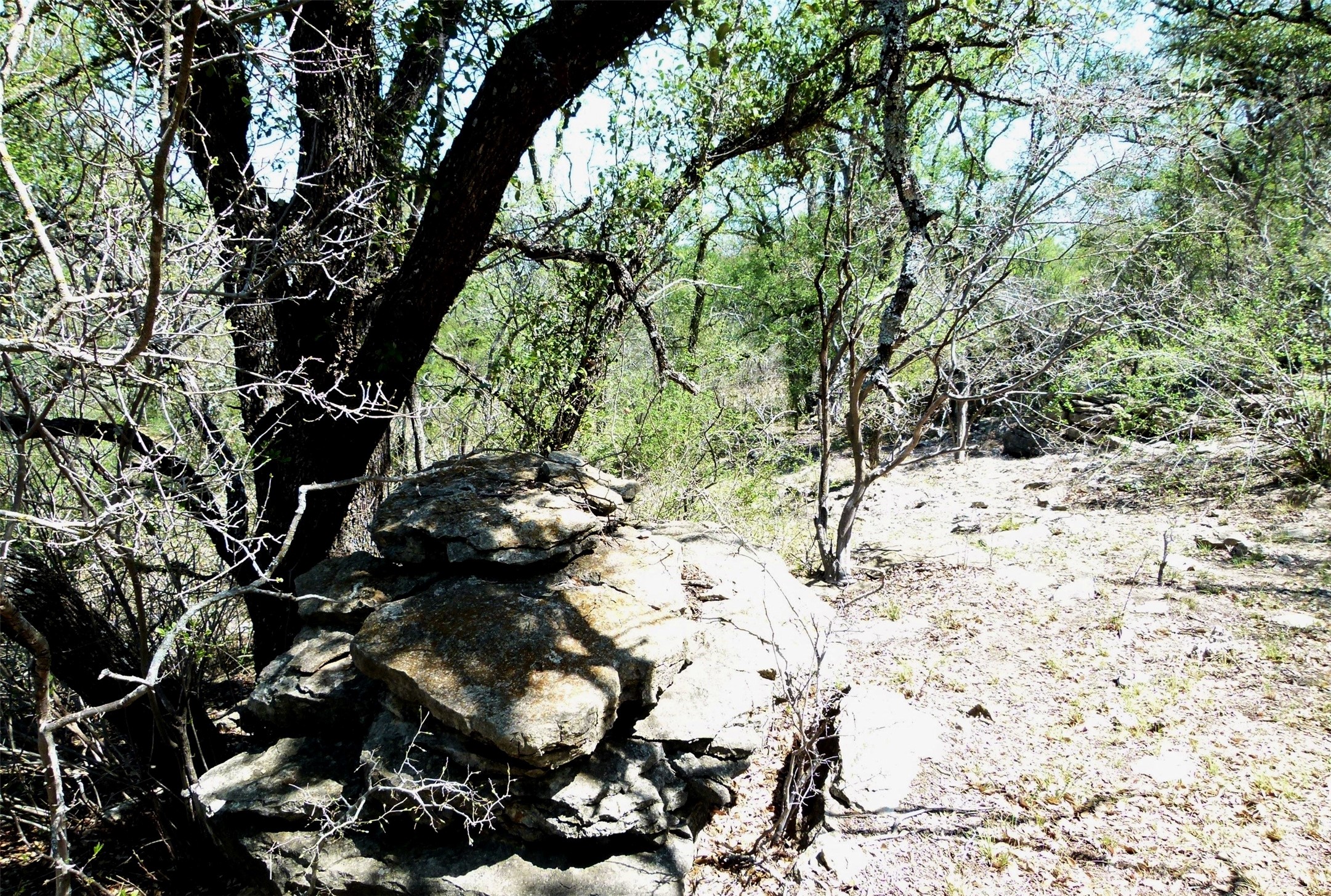 Tbd Highway 377 S Brookesmith TX 76827