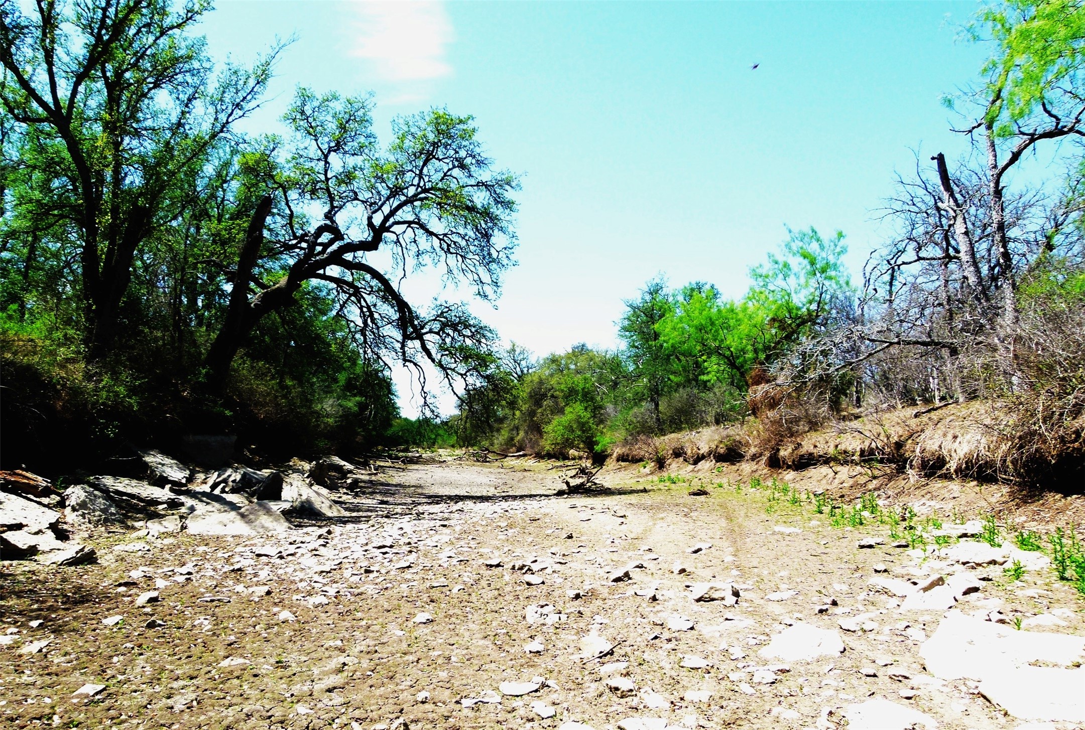 Tbd Highway 377 S Brookesmith TX 76827