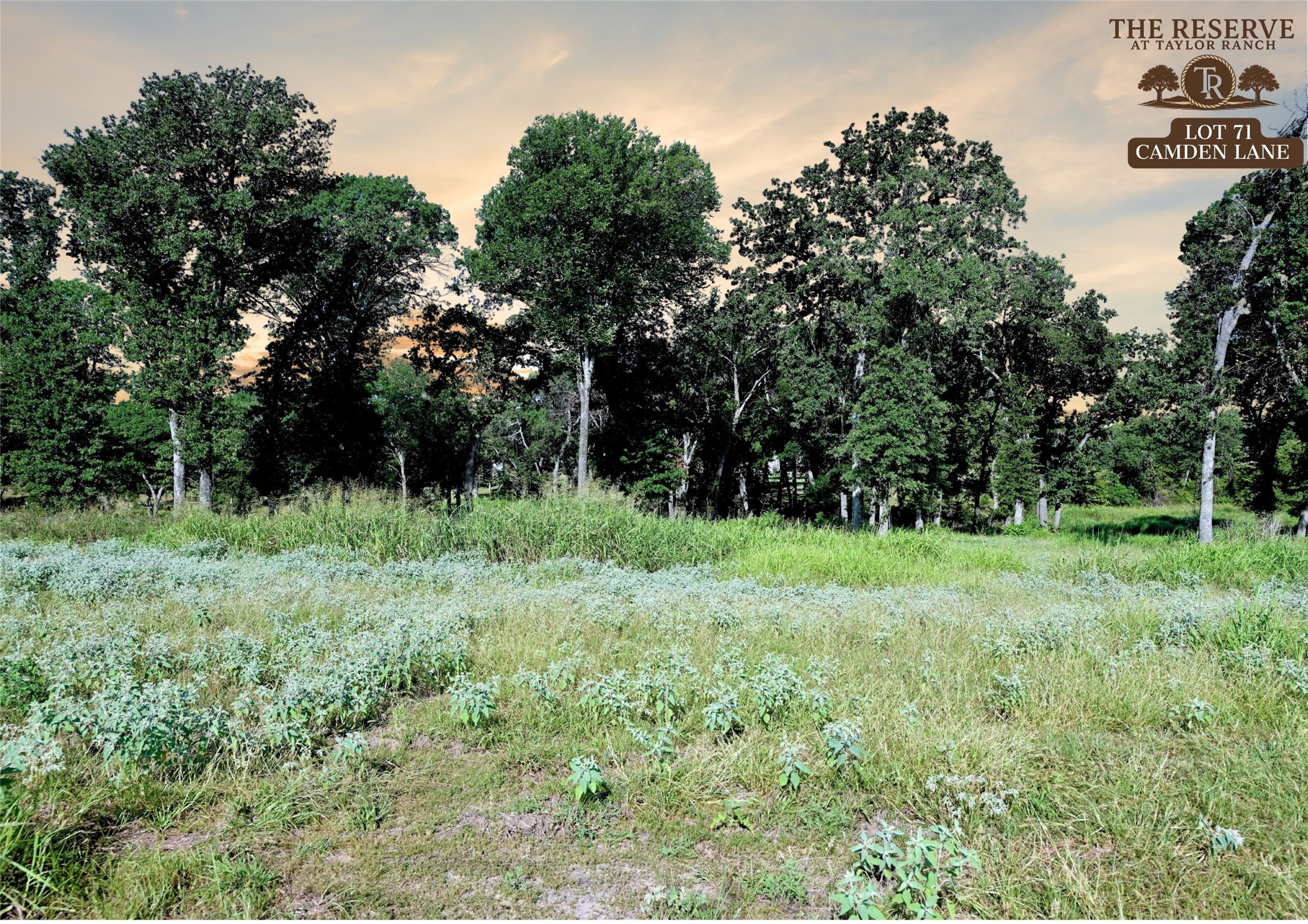 Lot 71 Camden Lane Springtown TX 76082