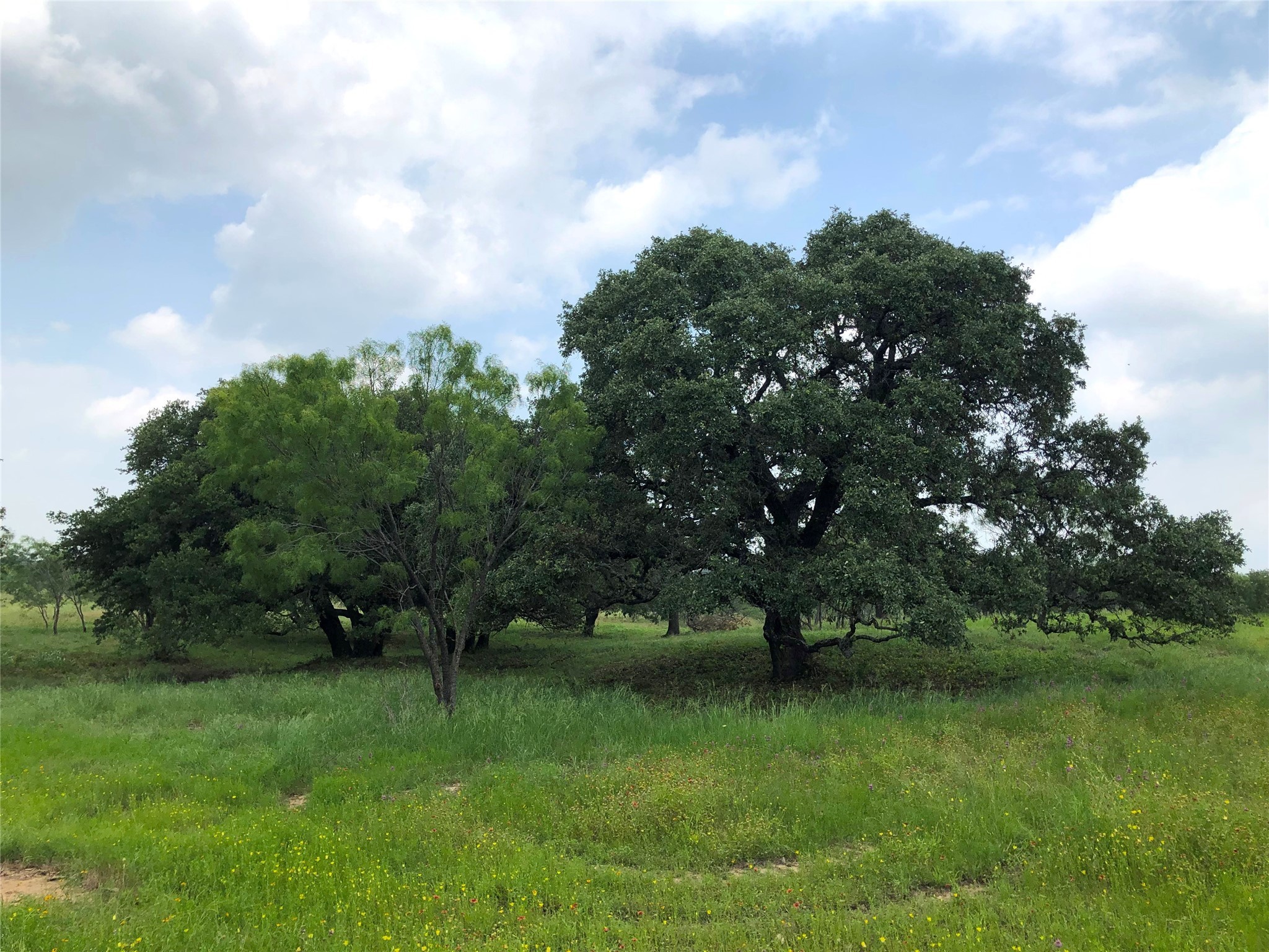 Lot 30 Ledge Stone Lane Blanket TX 76432