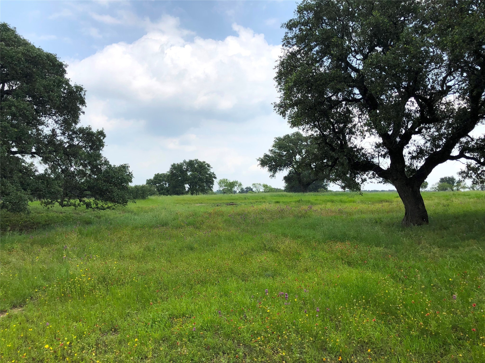 Lot 30 Ledge Stone Lane Blanket TX 76432