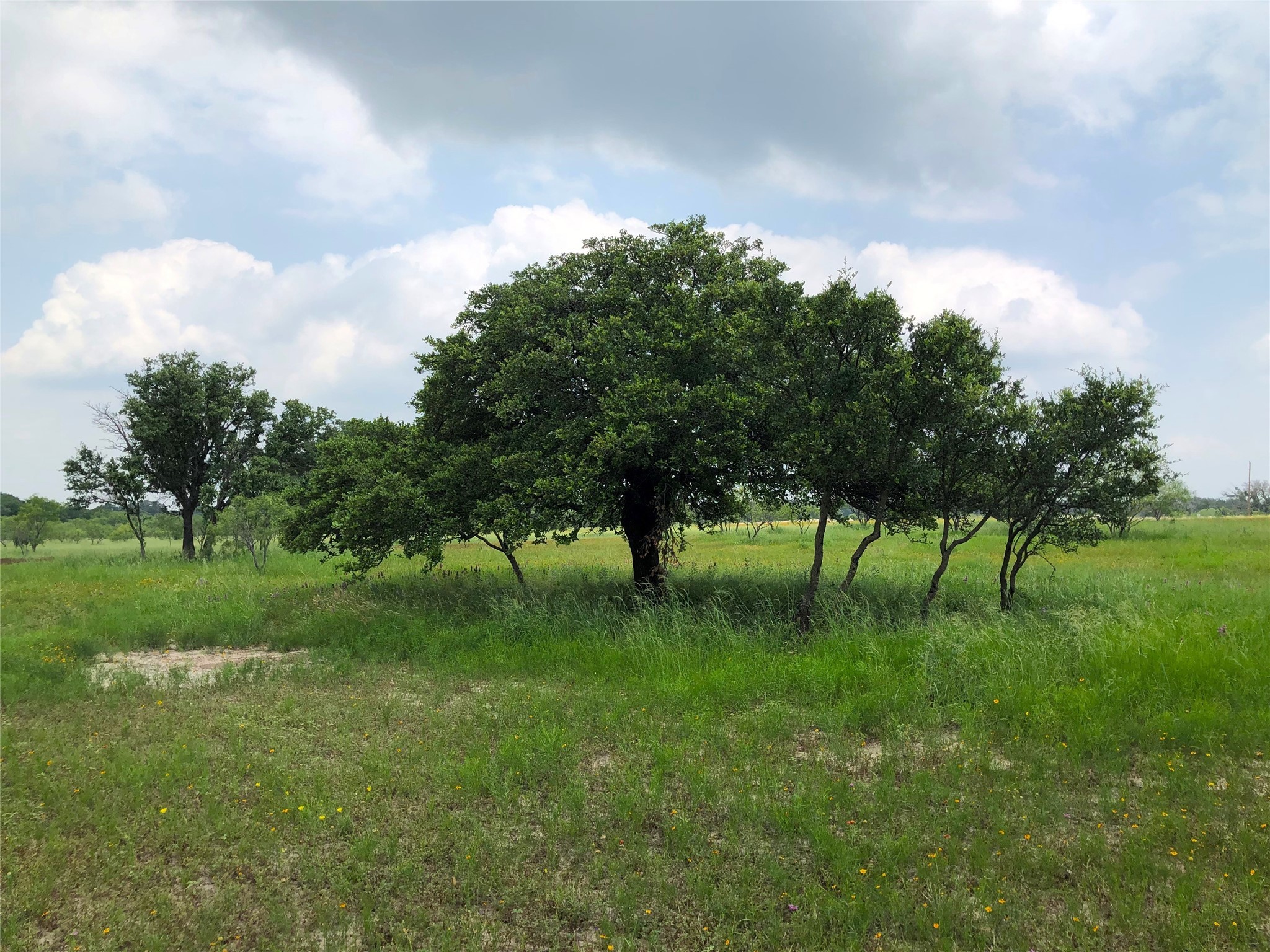Lot 30 Ledge Stone Lane Blanket TX 76432