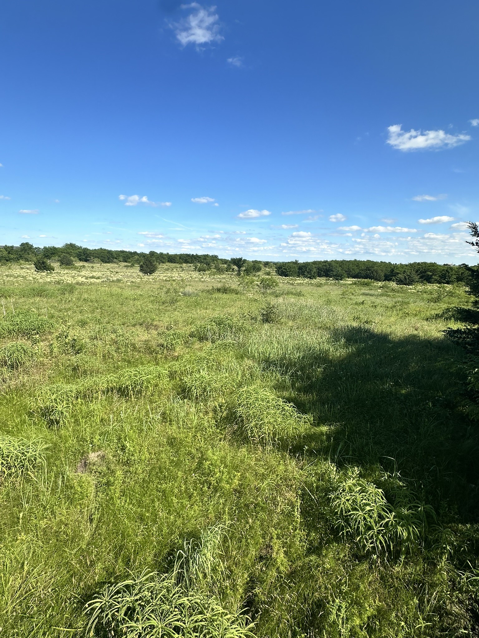 Lot 7 County Road 410 Callisburg TX 76240
