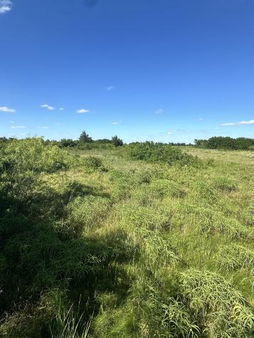 Lot 7 County Road 410 Callisburg TX 76240