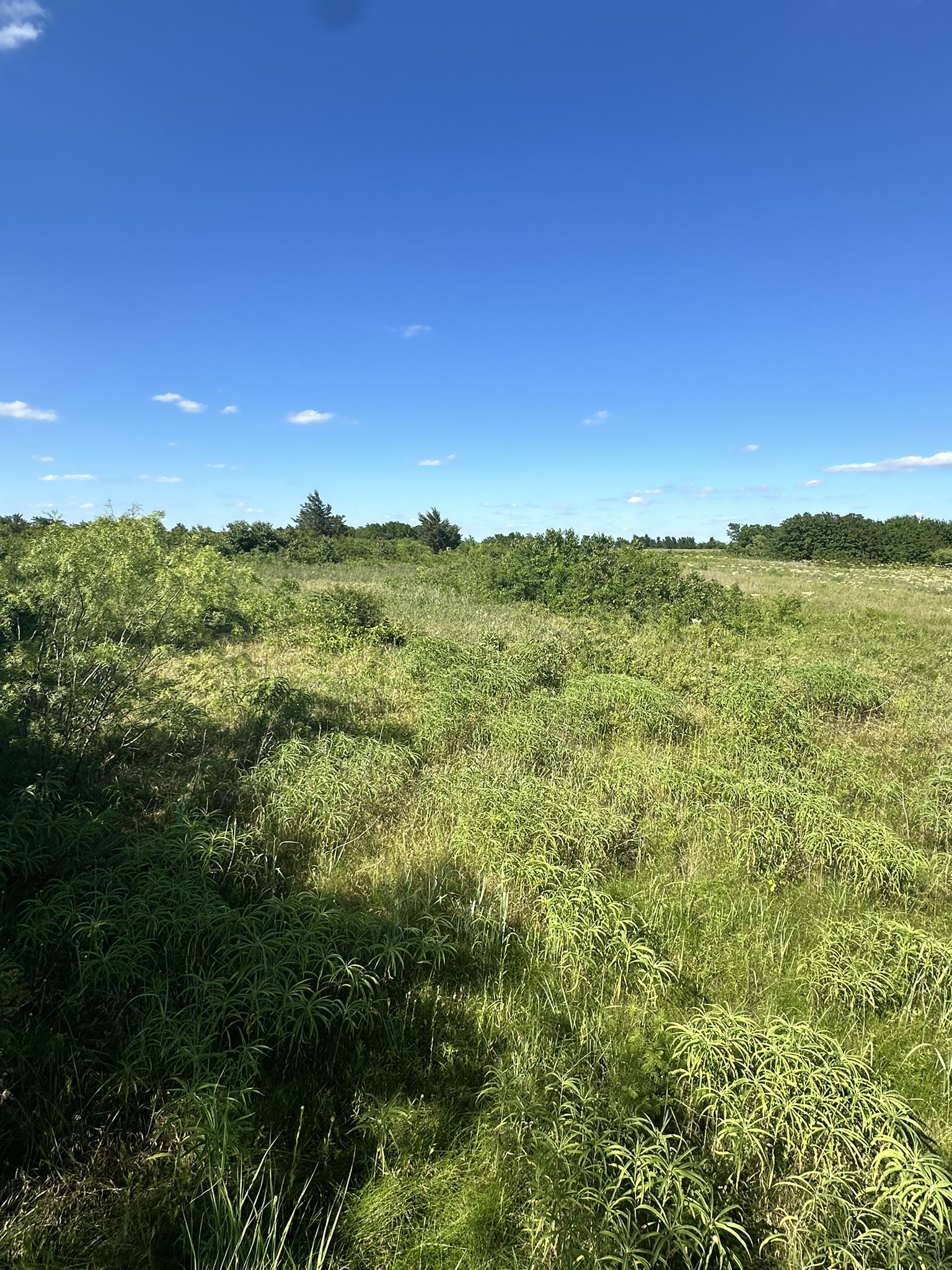 Lot 7 County Road 410 Callisburg TX 76240