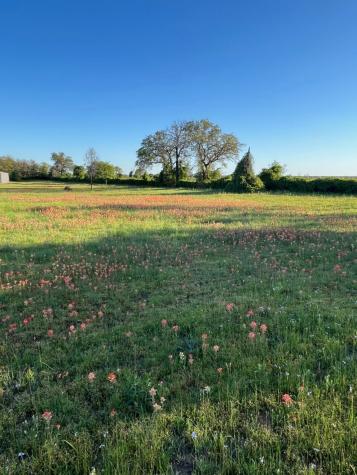 3951 Brushy Road Granbury TX 76048