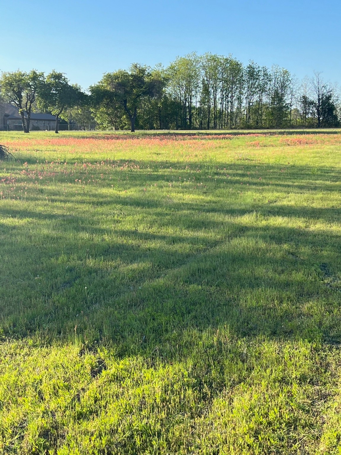 3951 Brushy Road Granbury TX 76048