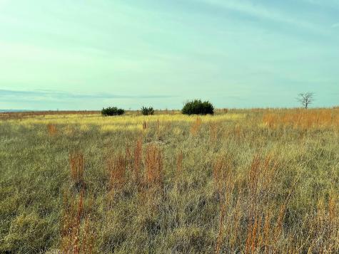2245 County Road 619 Pottsville TX 76565
