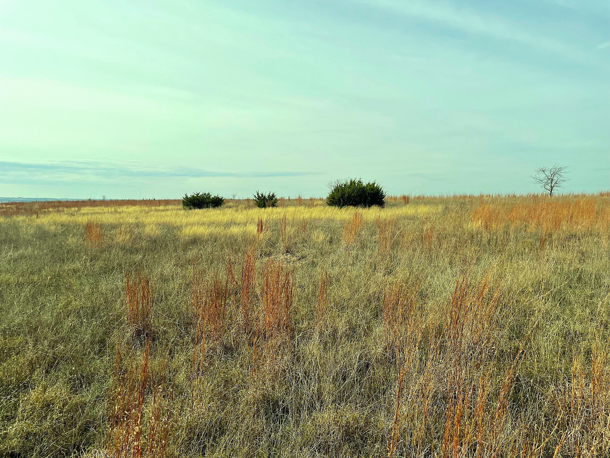 2245 County Road 619 Pottsville TX 76565
