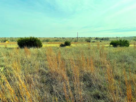 2245 County Road 619 Pottsville TX 76565