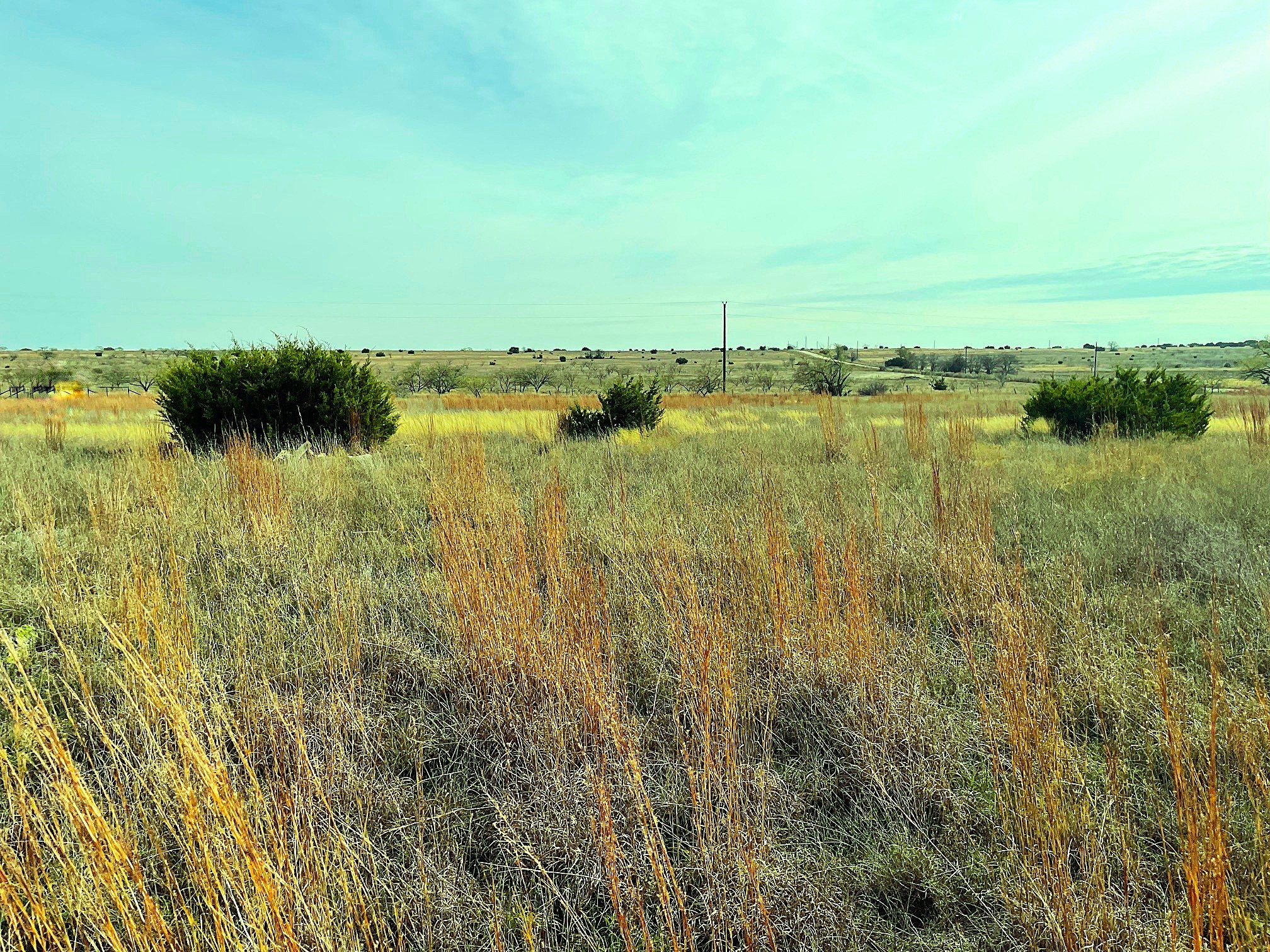 2245 County Road 619 Pottsville TX 76565