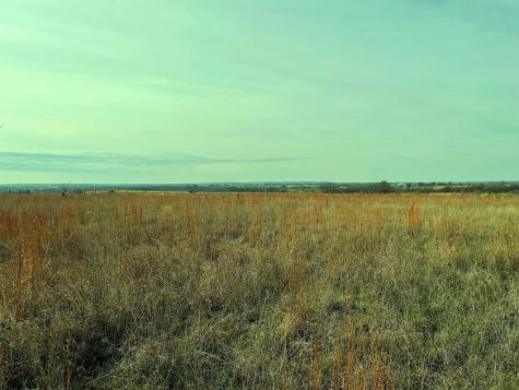 2245 County Road 619 Pottsville TX 76565