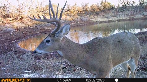 Tbd 42 County Road 318 Abilene TX 79606