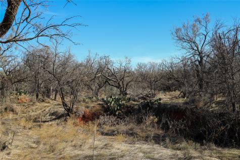 Tbd 42 County Road 318 Abilene TX 79606