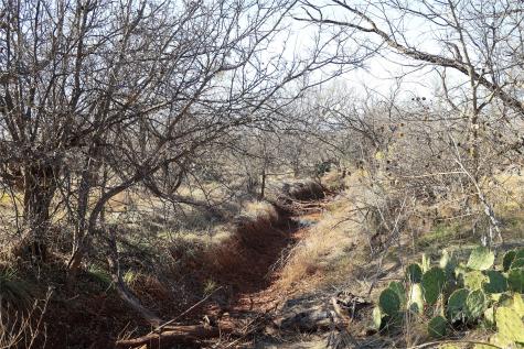 Tbd 42 County Road 318 Abilene TX 79606