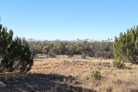 Tbd 42 County Road 318 Abilene TX 79606