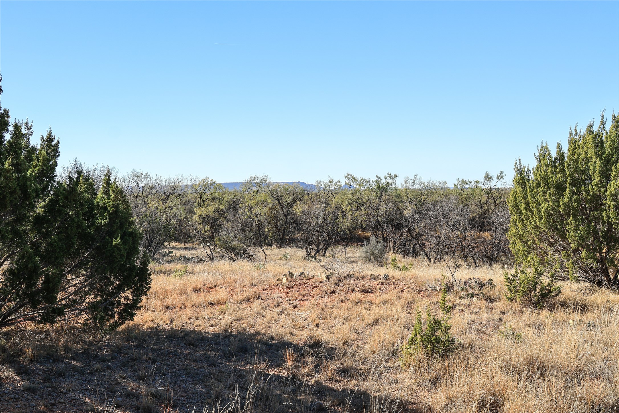 Tbd 42 County Road 318 Abilene TX 79606