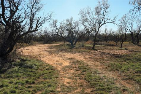 Tbd 42 County Road 318 Abilene TX 79606