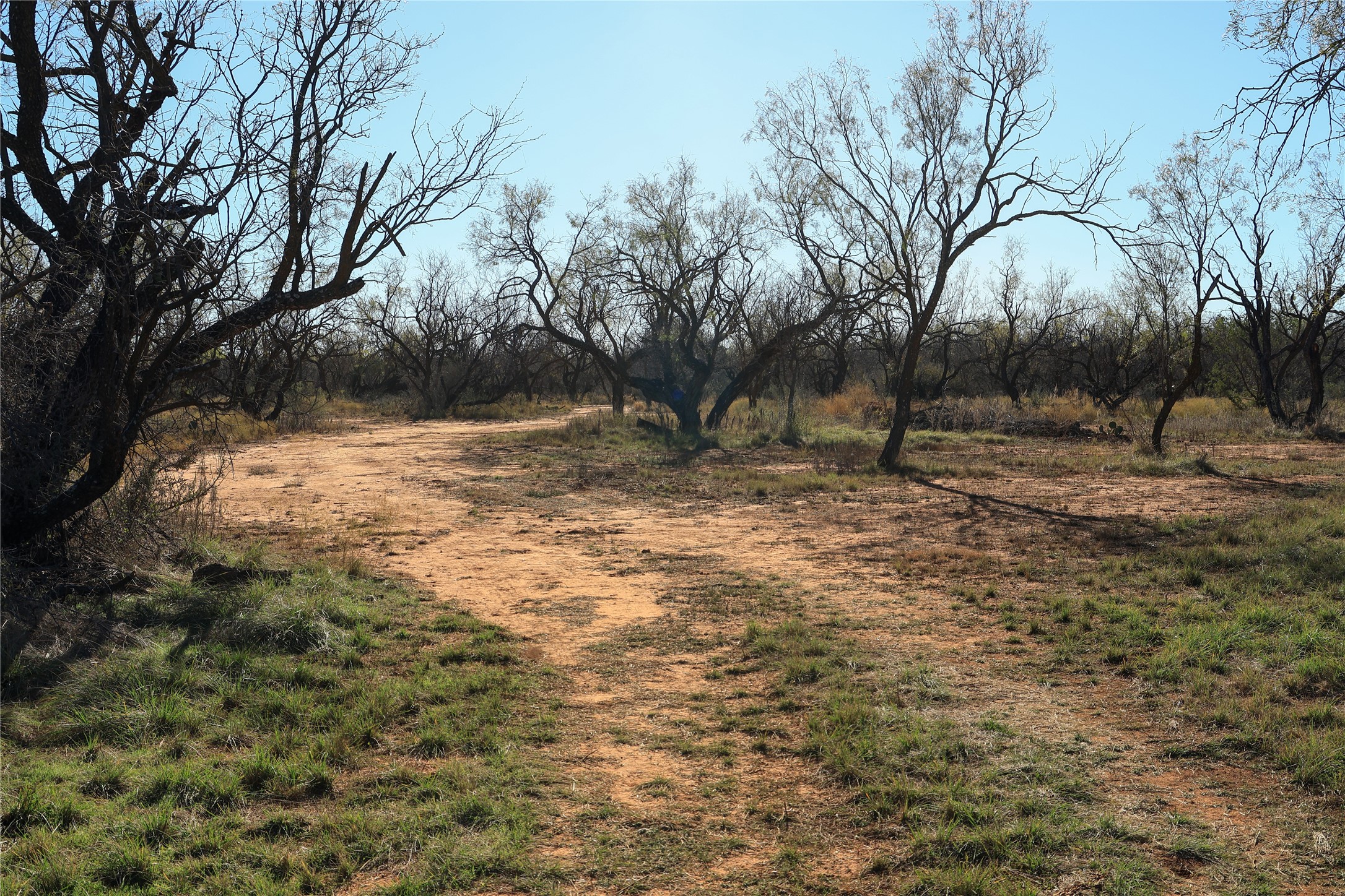 Tbd 42 County Road 318 Abilene TX 79606