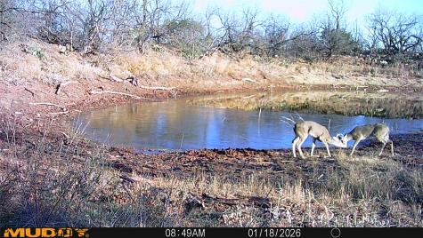Tbd 42 County Road 318 Abilene TX 79606