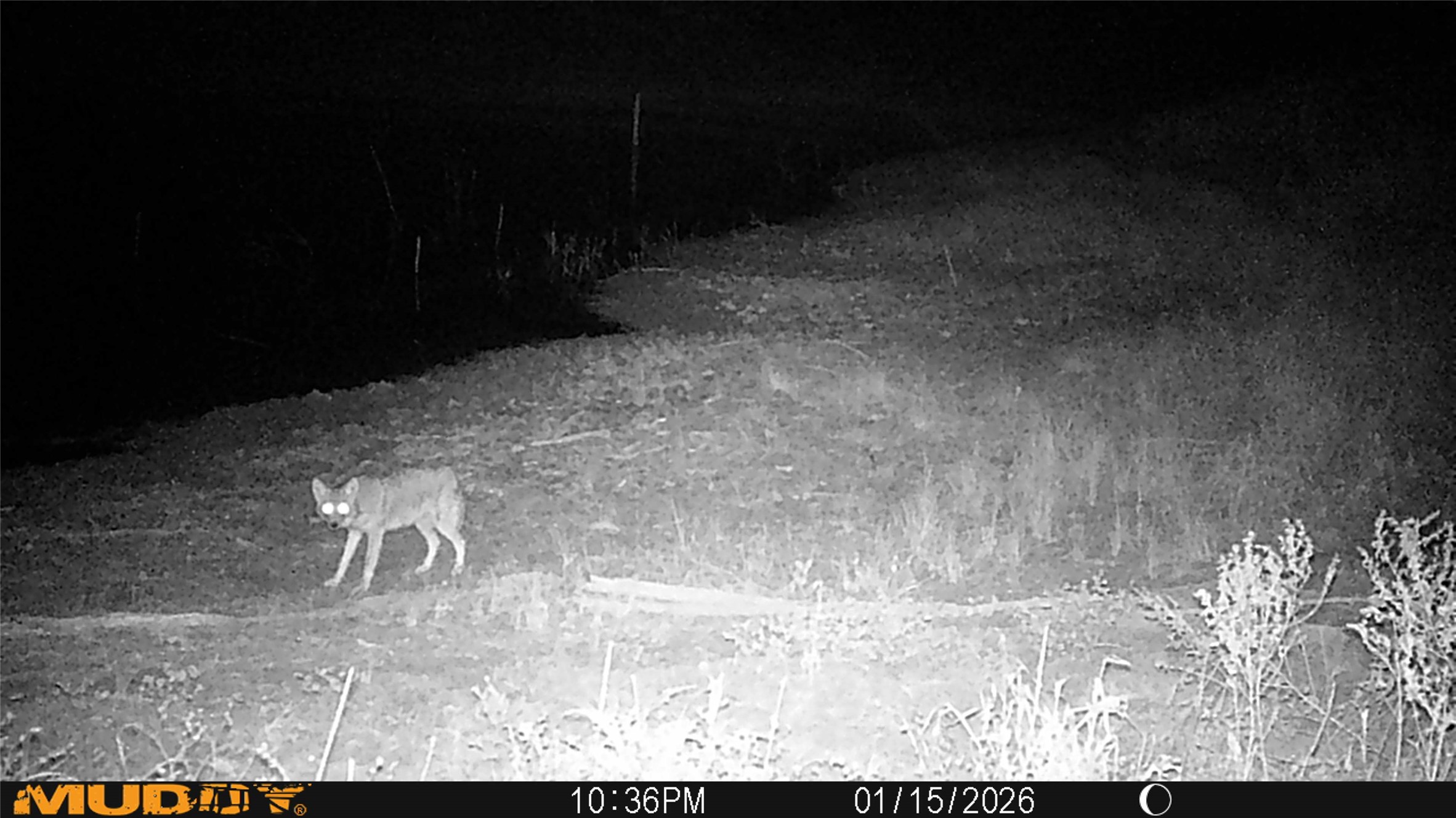 Tbd 42 County Road 318 Abilene TX 79606