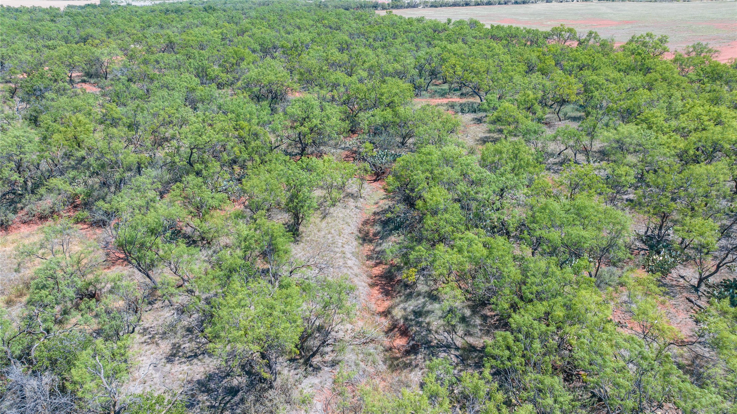 Tbd 42 County Road 318 Abilene TX 79606