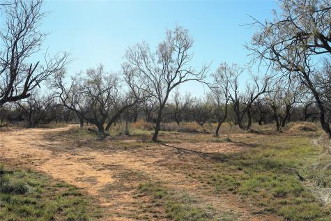 Tbd 42 County Road 318 Abilene TX 79606